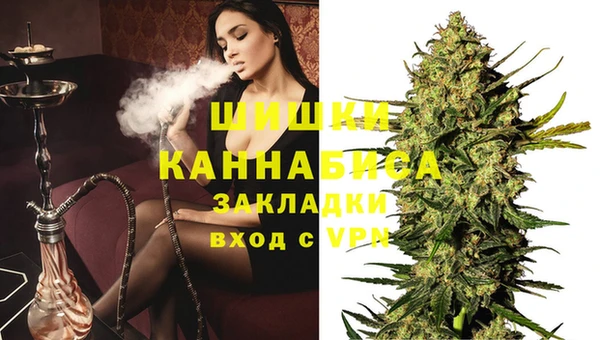 Альфа ПВП Белокуриха
