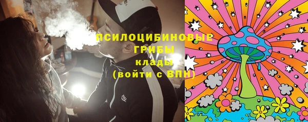 Альфа ПВП Белокуриха